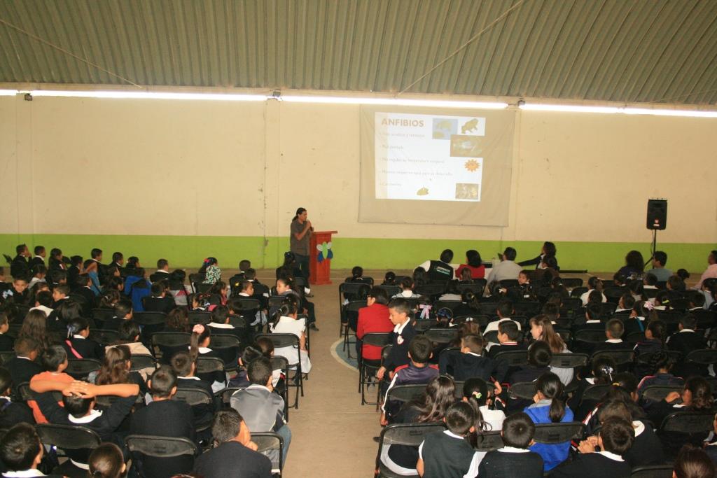 conferencia anfibios.jpg